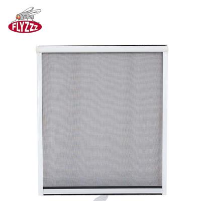 Retractable Screen Window